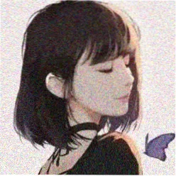 读者阿栖头像